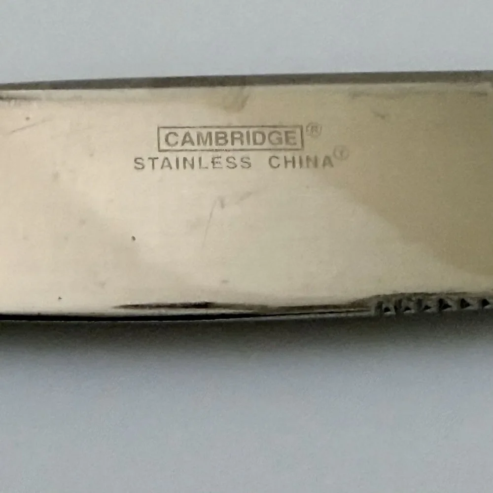 3pc Cambridge Cherish Dinner Knife and Spoons Stainless Frosted Handle